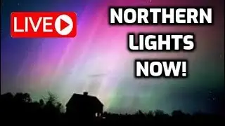 LIVE - Northern Lights Now