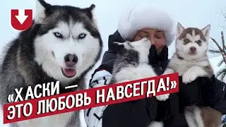 Наталья и ее 17 хаски (щеночки тоже!)