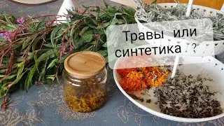 Лечение травами или синтетическими препаратами? Что эффективнее?