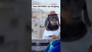 New Champions League Anthem by DJ SwagDog🔥 #football #championsleague #anthem