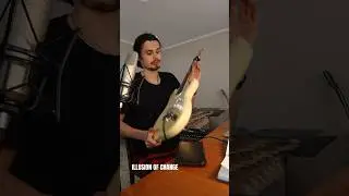 🎸Гитара это капец какая ТЕРАПИЯ🧘 