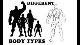 How To Draw Different Body Types The Male Body