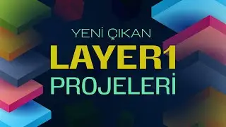 2024 Yılında Çıkan Layer1 Projeleri (MAS, SAGA, NIBI)