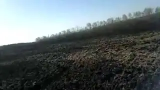 Подсолнечник под евролайтинг