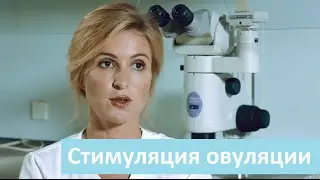 Стимуляция овуляции при ЭКО. Лечебный Центр о стимуляции овуляции при ЭКО.