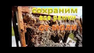 Сохраним все рамки от моли