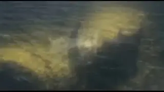 Godzilla x Kong post credits Scene 