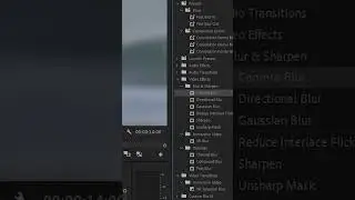 How to create a blur effect in adobe premiere pro?