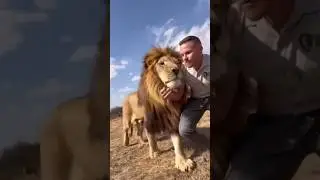 Why do you think the lion attacked him