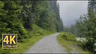 Adventurous Creek Nature Walk 4K (With Ambient Nature Sounds And Music)