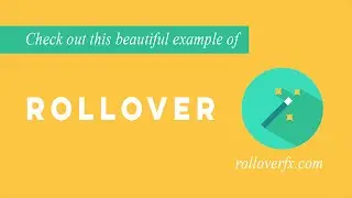 Pro Wix designers use Rollover