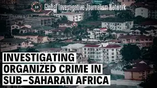 Investigating Organized Crime in Sub-Saharan Africa