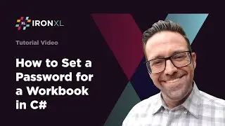 How to Set a Password for a Workbook in C# | IronXL