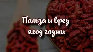 Почему весь мир сошел с ума от ягод годжи и чем они полезны?