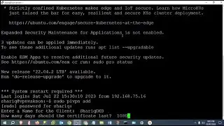 How to Add Client in pivpn and  How to Check Clients Log  OpenVPN  Virtual Private Network 