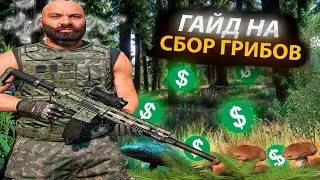 БЫСТРЫЙ ЗАРАБОТОК НА ГРИБАХ ДЛЯ НОВИЧКОВ - GTA 5 RP | MAJESTIC RP