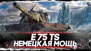 E 75 TS и другие танки, фарм серебра с INDOMITO WOT