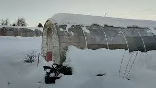 Теплицы из ПЭТ бутылок зимой.