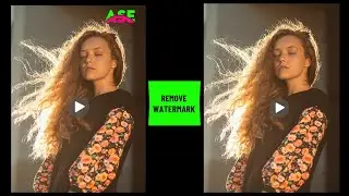 How to Remove Video Watermark Online Free ( Video Watermark Remover )