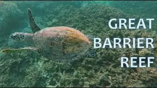 DIVE, Eat, Sleep, Repeat on the Great Barrier Reef (2019)