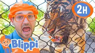 2 HOURS OF BLIPPI ANIMALS | Best Animal Videos for Kids | Educational Videos for Kids | Blippi Toys