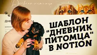 🐶  Шаблон в Notion Для ТВОЕГО ПИТОМЦА // Планирование Обработки, Покупок, Дрессировки!