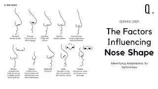 How Climate Influences Your Nose Shape | Defining Beauty