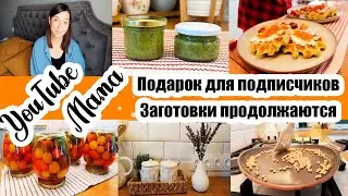 С НОВЫМИ СИЛАМИ 😊👍◾ ПОДАРОК ДЛЯ ПОДПИСЧИКОВ 🎁◾ КОНСЕРВИРОВАННЫЕ ЧЕРРИ 🍅◾КАРТОШКА ПО-НОВОМУ 😍👍