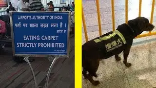 NEW!!! Epic Translation Fails: Signs That Make No Sense! 2024