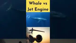 WHALE vs JET #shorts