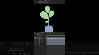 Beginner AE animation 