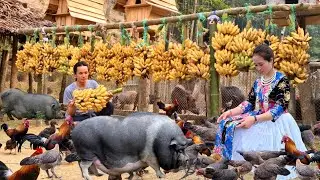 Zon, Vang Hoa with effort and determination overcame the challenge and gradually recovered .