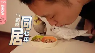 与鹦鹉同居的二三事。「马可波罗show」