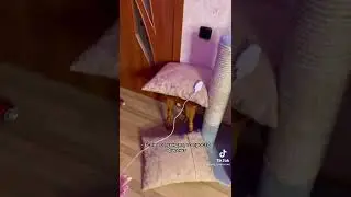 Умная зарядка от Xiaomi 😂😂👍