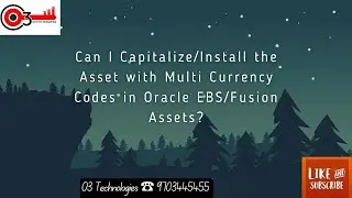 Can i Capitalize/Install the Asset with Multi Currency Codes in Oracle EBS/Fusion Assets?