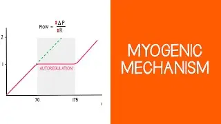 2.7 Renal: Myogenic Mechanism