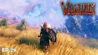 LIVE | Gathering Chill Stream - Valheim Gameplay EP.29 - Relaxing Open-World Survival & Building