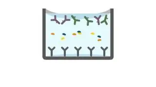 SimpleStep ELISA kit protocol
