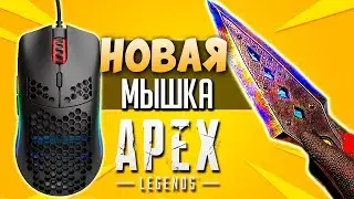 КУНАЙ Рэйф + Новая Мышка = ПОБЕДА? Рейтинг Апекс, первая игра - qadRaT Apex Legends Стрим #21