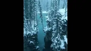 Звуки Природы)) Снег в лесу
