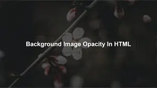 How To Set Background Image Opacity In HTML | Opacity In CSS