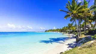 Beach Bossa Nova Jazz Music with Ocean Waves Sounds for Relaxation