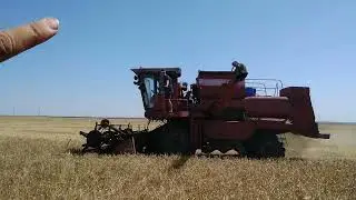 Уборка Ячменя 2022 г. в Крыму! Сыпит!?