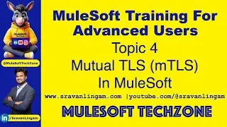 Topic 4 :Configuring mTLS and TLS in 