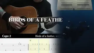 BIRDS OF A FEATHER - Billie Eilish - Fingerstyle Guitar TAB Chords