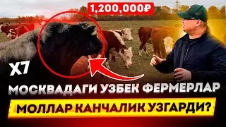 МОСКВАДАГИ УЗБЕК ФЕРМЕРЛАР X7 1,200,000₽ // 5 ОЙДА МОЛЛАРИМИЗ КАНЧАЛИК УЗГАРДИ? 