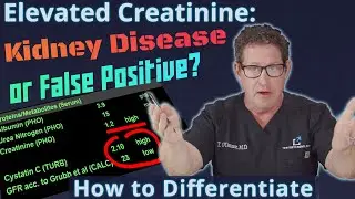 Elevated Creatinine - Kidney Disease or False Positive? How to Differentiate