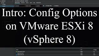 VMware ESXi 8 (vSphere 8) Navigation and Configuration Options