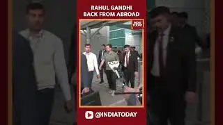 Watch | Congress MP Rahul Gandhi Arrives At Delhi Airport From Abroad