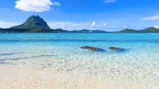 A Beautiful Beach in Bora Bora